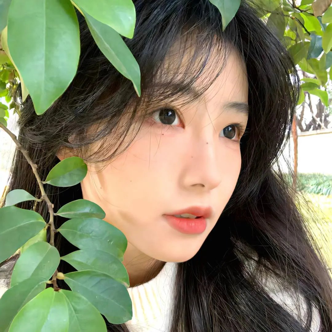 蜜果树之恋